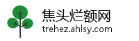 焦头烂额网